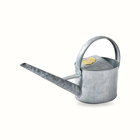 Sophie Conran Indoor Watering Can, Small — Burgon & Ball