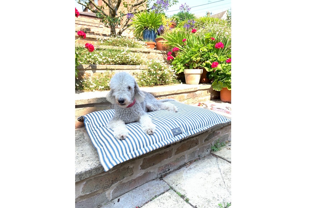 French Blue Ticking Dog Bed — BlossomCo