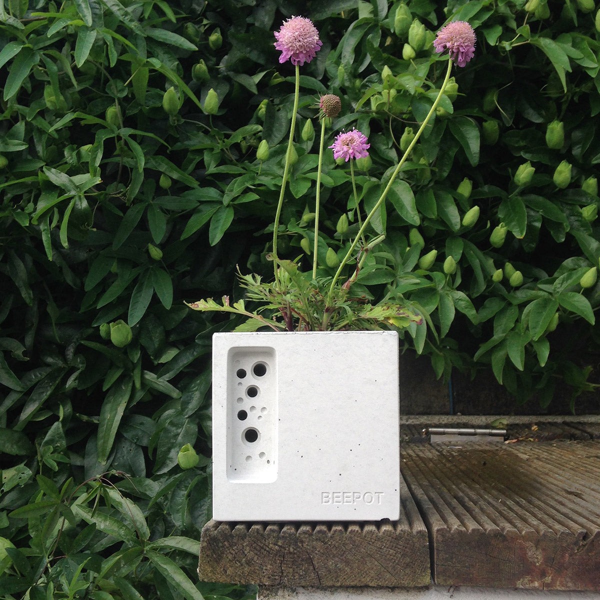 Beepot Mini — Green&Blue