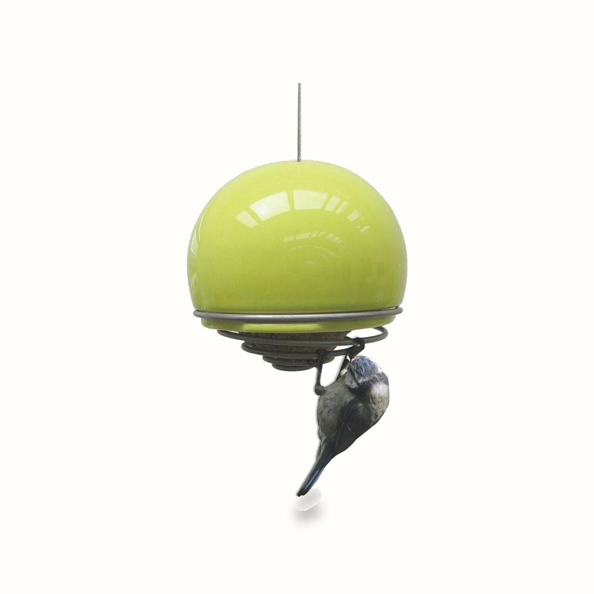 Birdball Belle Feeder — Green&Blue