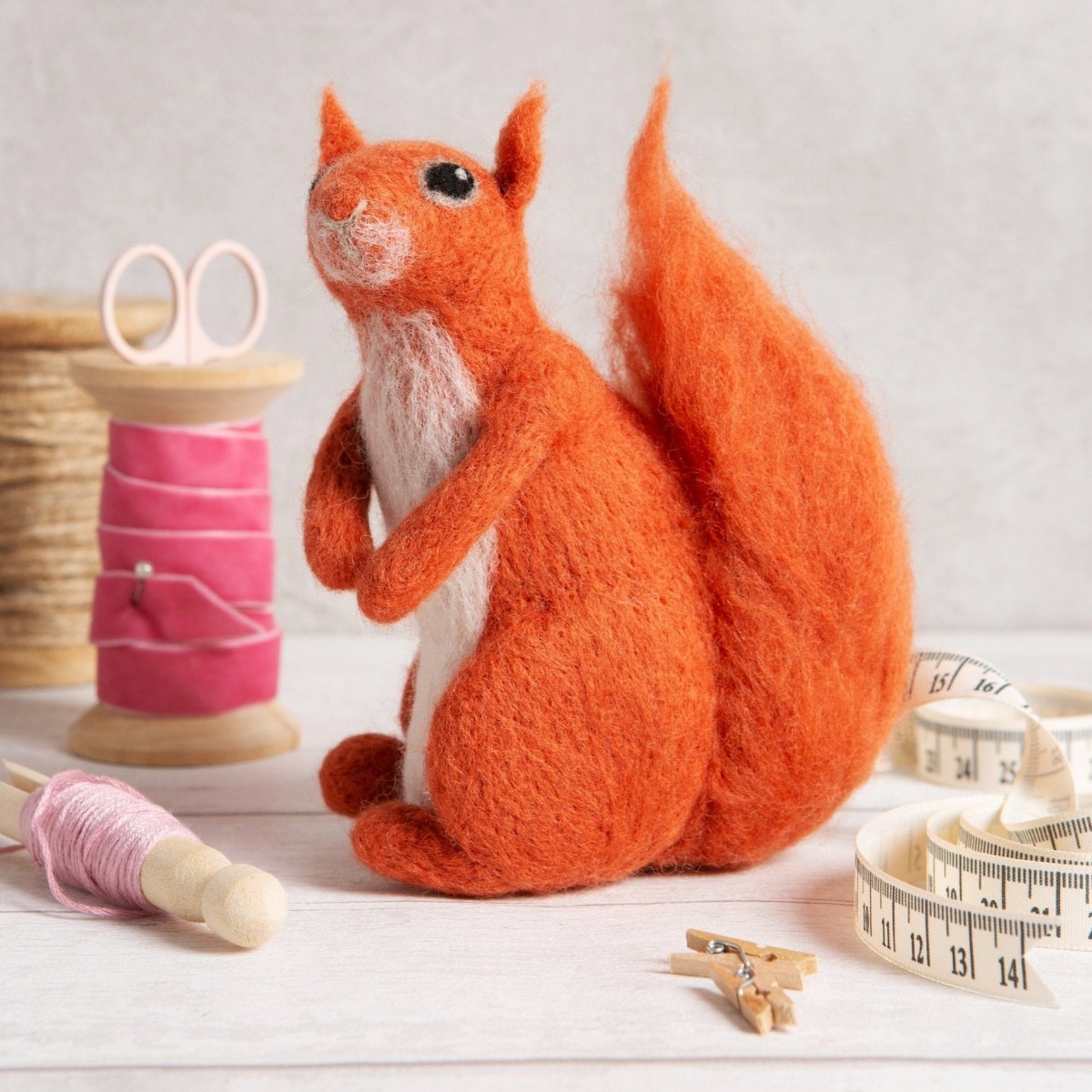 Red Squirrel Needle Felting Kit — Hawthorn Handmade