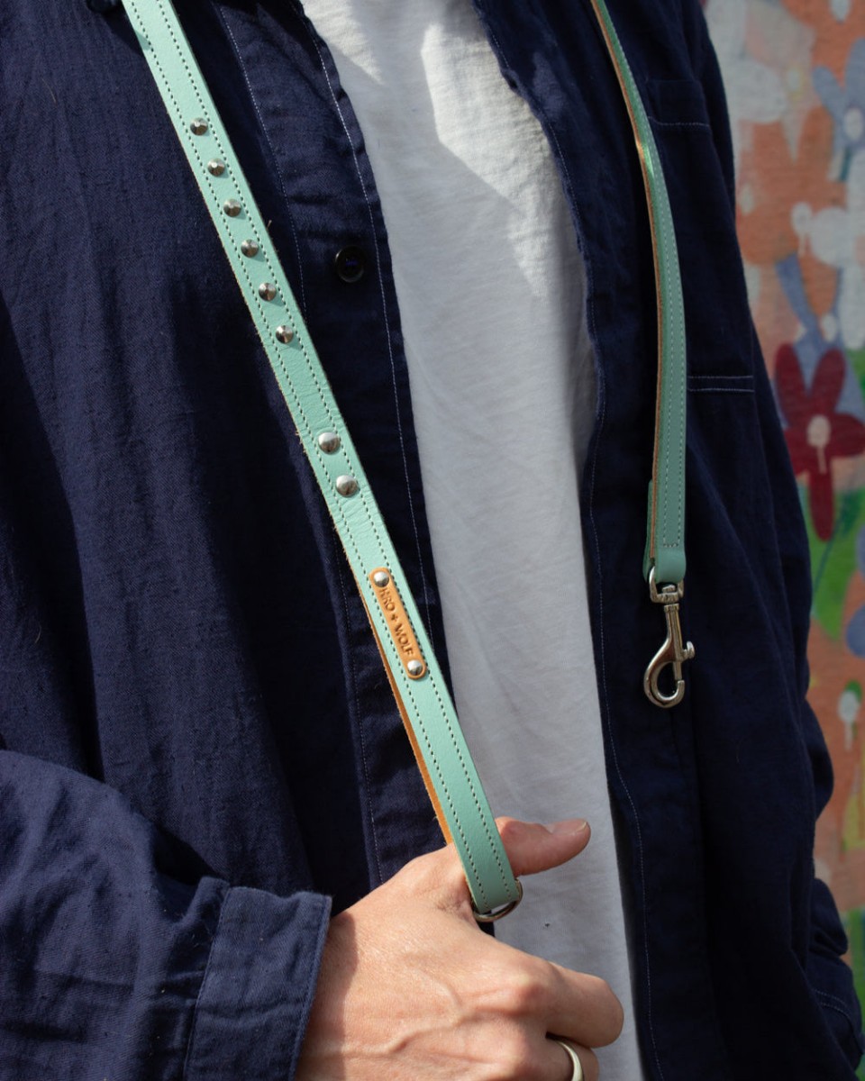 Duo Tone Leather Dog Lead, Mint and Tan — Hiro + Wolf