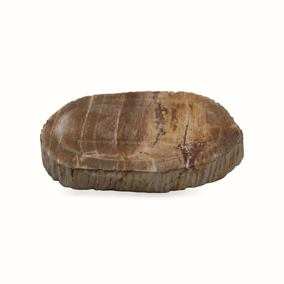 Petrified Wood Soap Dish